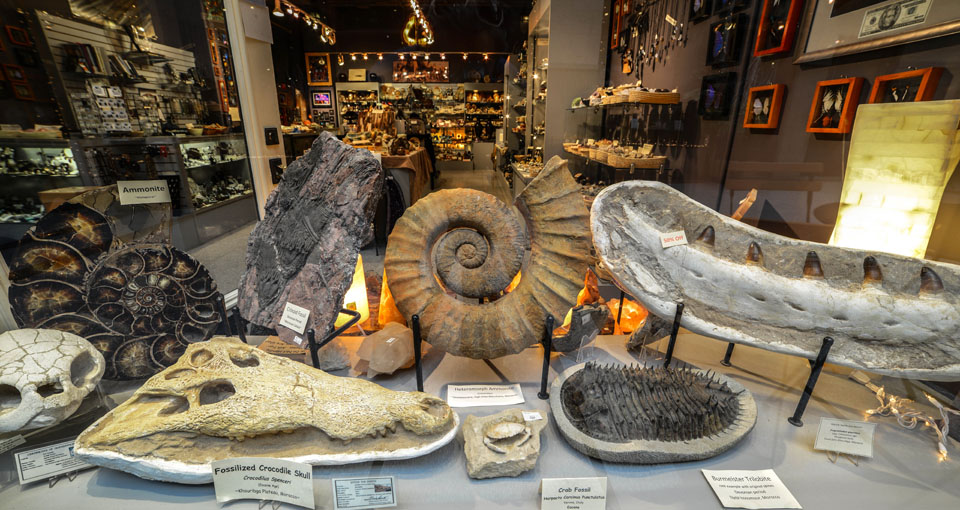Store window2
