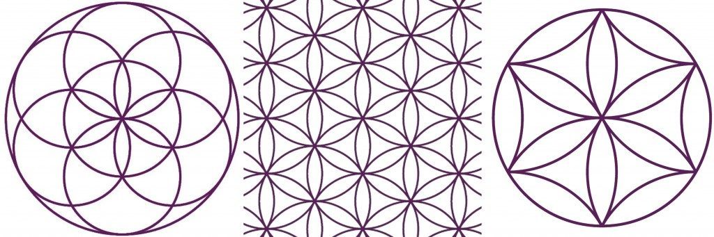 seedoflifeexamples06